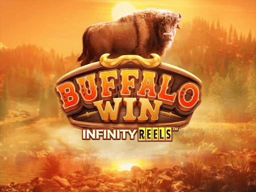 BUFFALO WIN